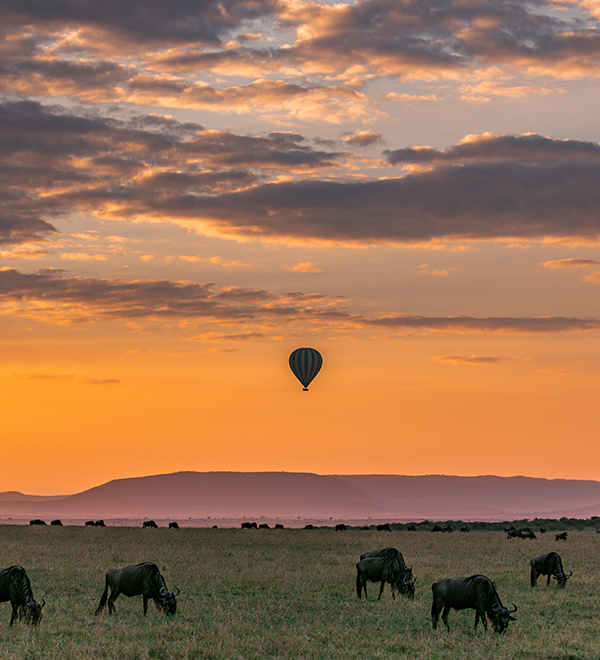 safari tour tansania