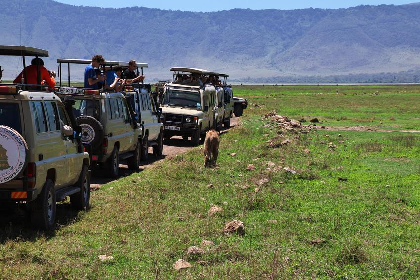 Northern Tanzania Great Migration Safari